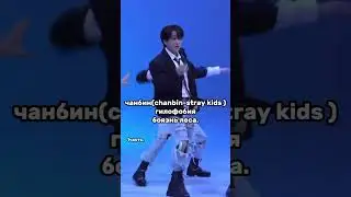 Фобии/страхи участников stray kids #kpop #skz #straykids