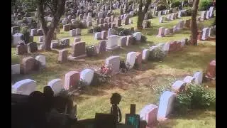 Grass you will never cut....