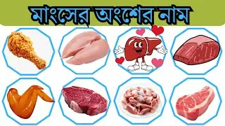 Learn Beef Meat Parts names in English and Bangla with Picture । গরুর মাংসের অংশের নাম ইংরেজি