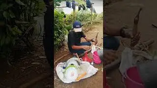 lagi jualan di karang Sewu csewu garut