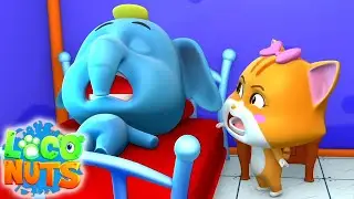 Insomnia | Video lucu | Kartun untuk bayi | Loco Nuts Indonesia | Film animasi anak
