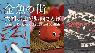 【奈良さんぽ】金魚が泳ぐ街？！大和郡山の商店街ぶらり歩き｜Yamato-Koriyama, the Town of Goldfish｜