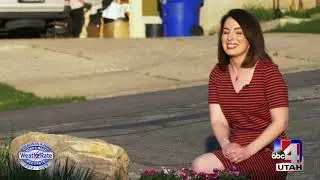 Spring Weather promo