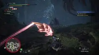 Running Rajang