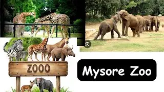 A Day at Mysore Zoo| A virtual Tour of Mysuru Zoo | Sri Chamarajendra Zoological Gardens