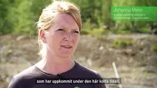 Efterbehandling av Sv&auml;rttr&auml;skgruvan