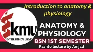 Introduction to Anatomy & Physiology || BSN 1st semester || A & P Unit 1st Pashto lecture by Amjad