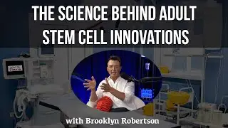 Harnessing Adult Stem Cells for Bone Regeneration