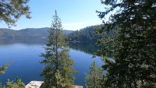 Deer Lake Washington 4k Nature Sounds #birdsounds #views