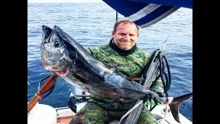 Big Bluefin Tuna: (Ideal Gear for Spearfishing)