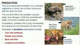 ECOLOGICAL MANAGEMENT