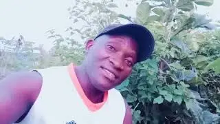 jonarobi odiwo