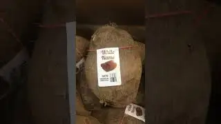 I failed the White Name Root challenge at Walmart #challenge #fail