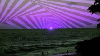 Mark Brook - 260