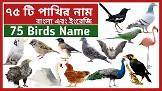 75 Birds Name | ৭৫টি পাখির নাম | Birds Name Bengali to English | বিভিন্ন পাখির নাম বাংলা ও ইংরেজিতে