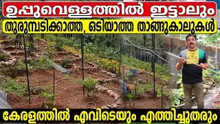 ഇരുമ്പും വേണ്ട, PVC യും വേണ്ട തുരുമ്പടിക്കാത്ത, ഓടിയാത്ത, ഭാരമില്ലാത്ത  ഇത് മതി കൃഷിക്ക്