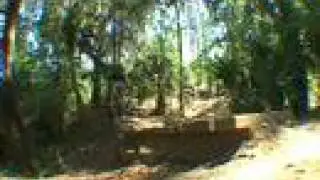 The Vortex Trail