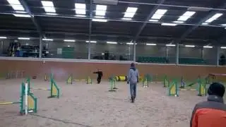 4th Senior Steeplechase UKA at Dog Matters