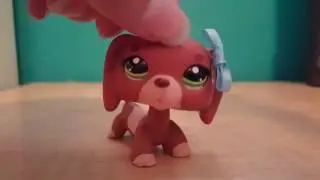 Alice lps contest