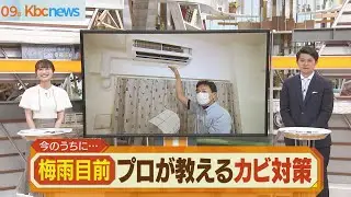 【梅雨前の対策】プロに聞くカビの防止法