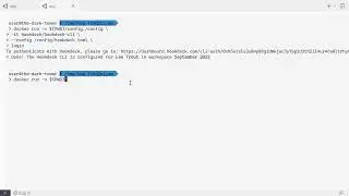 Using the Hookdeck CLI in Docker