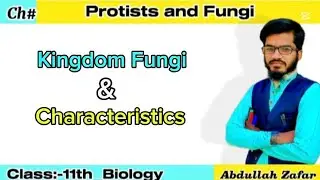 Kingdom Fungi | Characteristics of Fungi | Class 11th Biology | Pashto | Abdullah Zafar