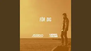 F&ouml;r dig
