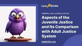 Aspects of the Juvenile Justice and Its Comparison with Adult Justice System - Essay Example