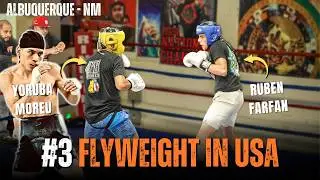 HE'S RANKED #3! New Mexico Boxer Shows Off SHARP Jab In Sparring!