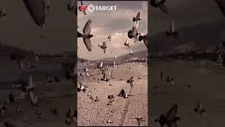 Alanya , T&uuml;rkiye, آلانیا ، kourosh paki