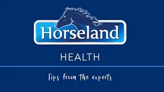 How to Worm Your Horse