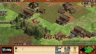 Voobly AOE2 1.6: Arabia, Celts vs Celts