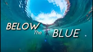 SNORKELING Fisherman's Cove Laguna Beach CA | Best Reefs and Cove | 4k Adventure 