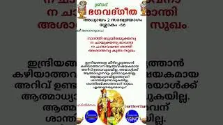 യോഗ പരിശീലത്തിലൂടെ ആത്മാനന്ദത്തിൽ എത്തിച്ചേരാം #ഭഗവദ്ഗീത