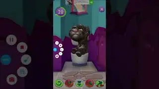 Talking Tom farts meme