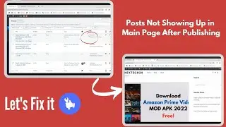 [1 Click] Fix Issue 'Posts Not Showing Up in Main Page After Publishing' in WordPress