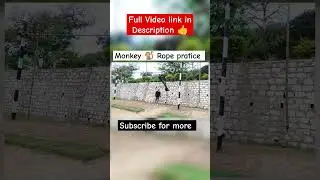 Monkey 🐒 Rope for beginners 💪 #shorts #youtubeshorts #monkey
