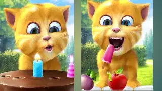 🧙 Ginger Magic Wand Funny Spell Tricks 😺✨