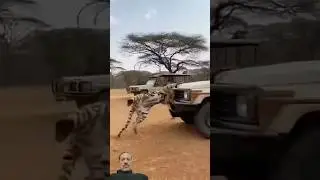 ۸ ژانویهٔ ۲۰۲۶