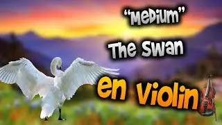 The Swan en Violín|tab,tutorial,partitura,como tocar|HD Tutorial