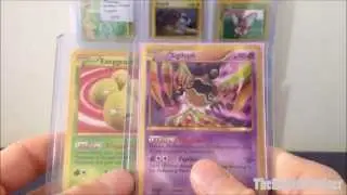 The Golden Egg Has Arrived! | My Current Shiny Pokemon Cards | TheEnglishTrainer