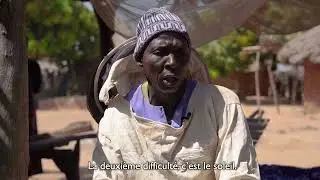 L'apiculture au sein de la Réserve Naturelle Communautaire du Boundou - Sénégal