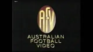 Peter Daicos - 