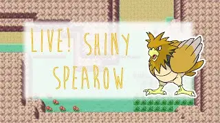 [LIVE! ISHC] Shiny Spearow After 14,038 REs! (Phase 1)