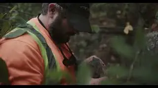 Bayside Geoscience Promo