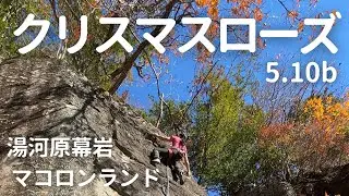 【クリスマスローズ　5.10b】湯河原幕岩　マコロンランド