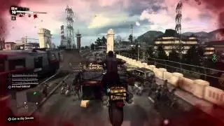 Rollerhawg