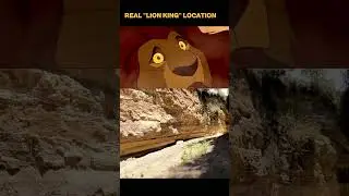 Standing Where Mufasa &lsquo;Fell&rsquo; (Real Place) 😳💔🦁