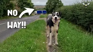 Walk abandoned! Nene Way [ep. 7]: Wellingborough to Irchester