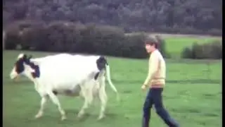 1970s Caulfield Grammar School Footage
